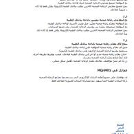 Mitz flyer Arabic / Arabisch
