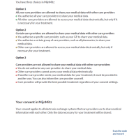 Mitz flyer English / Engels