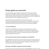 Mitz flyer Polish / Pools