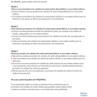 Mitz flyer Portugese / Portugees